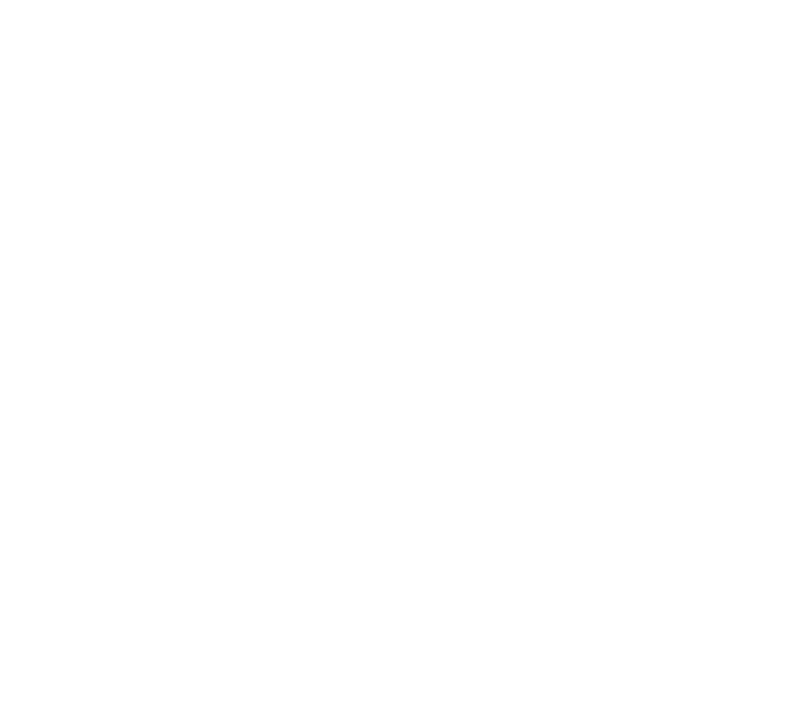 Cromex Forwarding Inc.