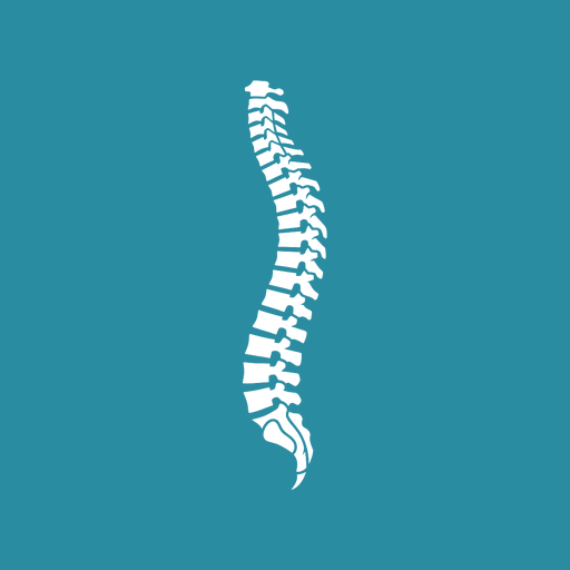Duval Spine & Rehab