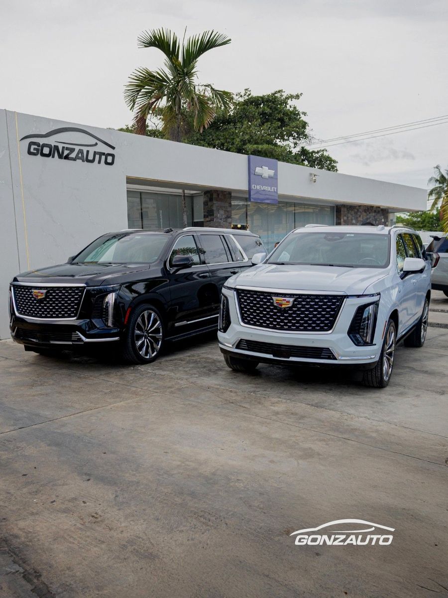 Gonzauto dealership, front view with vehicles